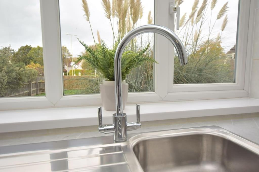 Luxury Central Oxford Detached Home Екстер'єр фото