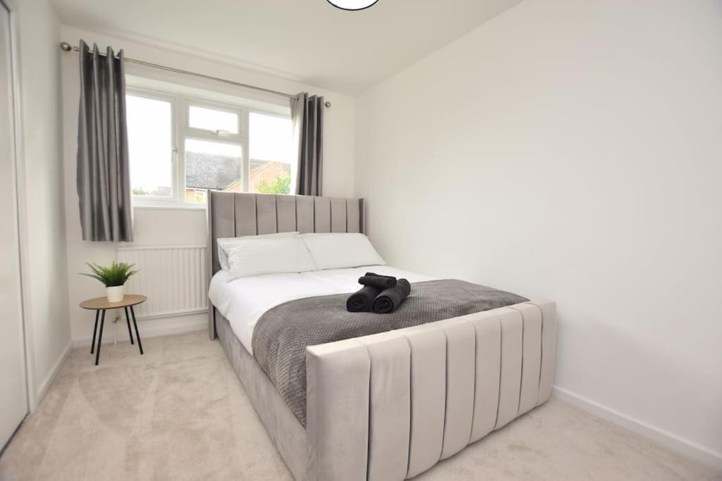 Luxury Central Oxford Detached Home Екстер'єр фото